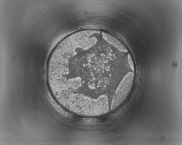 X0000111580795200908271035