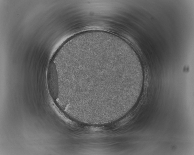 X0000111580796200908271035