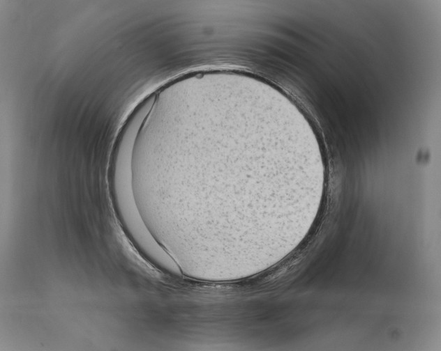 X0000111580797200908271034