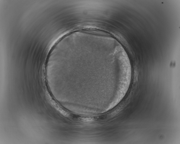 X0000111580798200908271034