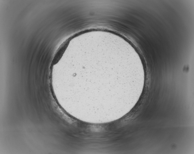 X0000111580799200908271034