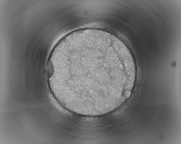 X0000111580800200908271034