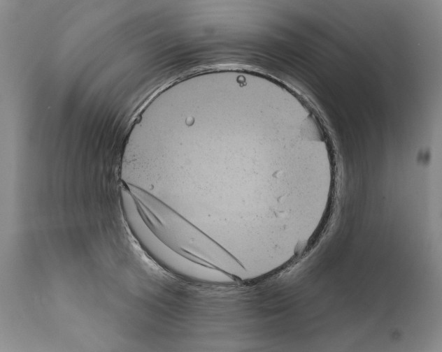 X0000111580801200908271034