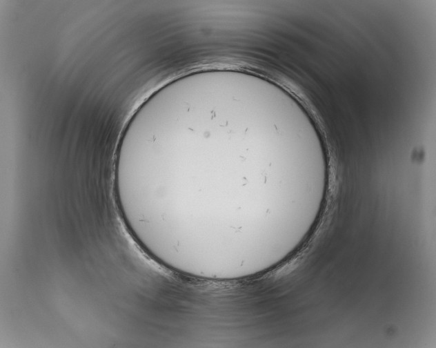 X0000111580802200908271034