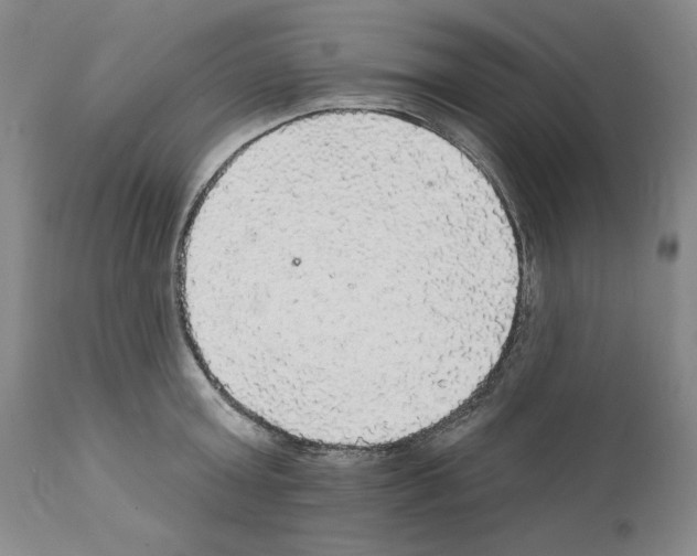 X0000111580803200908271034