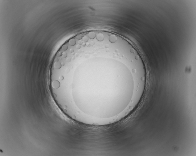 X0000111580804200908271034