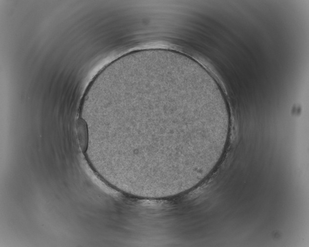 X0000111580805200908271034