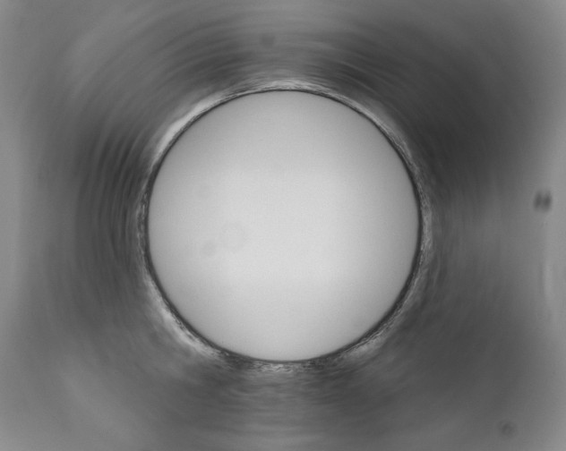 X0000111580806200908271034