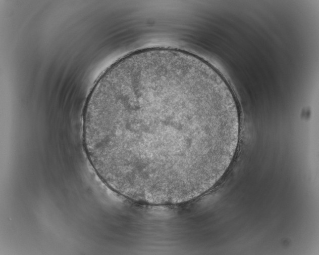 X0000111580807200908271034