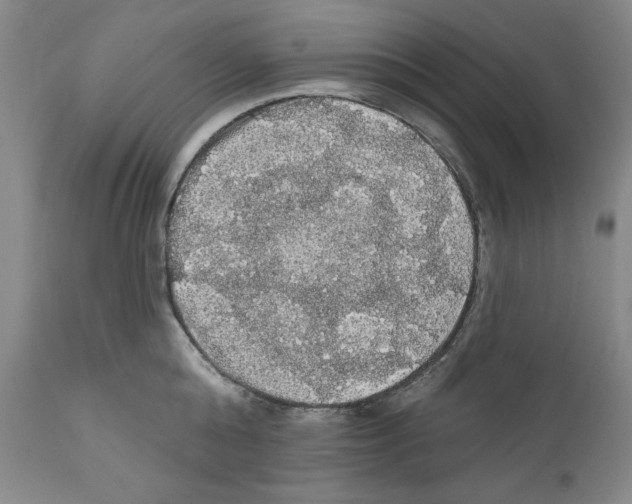 X0000111580808200908271034