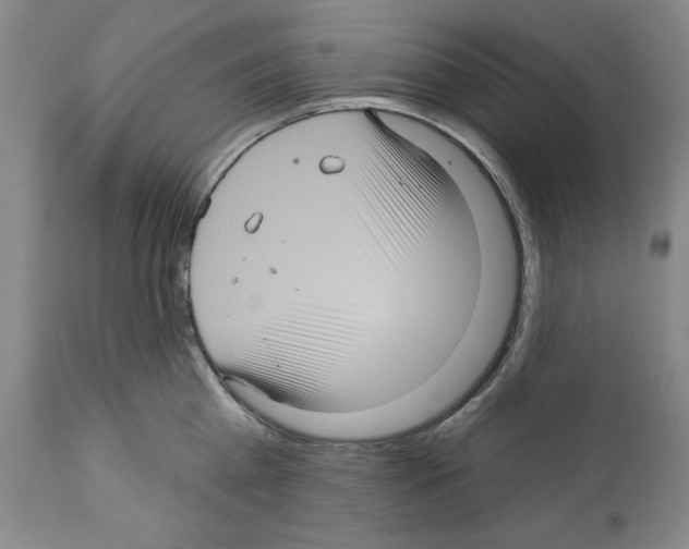 X0000111580809200908271034