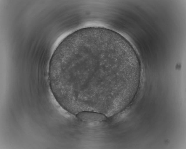 X0000111580815200908271034