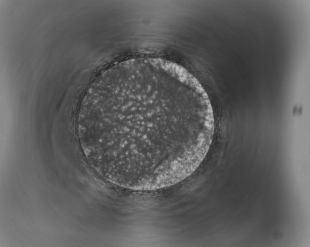 X0000111580817200908271033