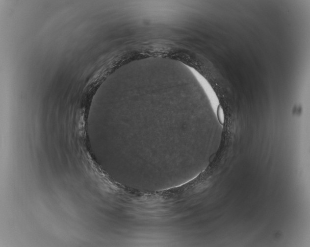 X0000111580818200908271033