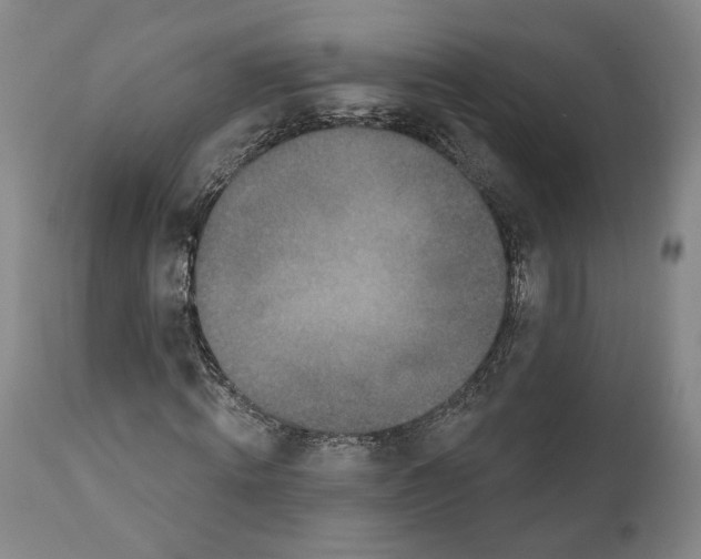 X0000111580820200908271033