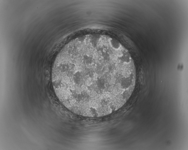 X0000111580821200908271033