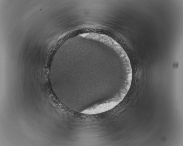 X0000111580822200908271033