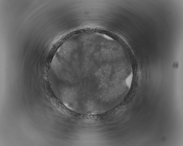 X0000111580823200908271033