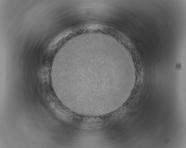 X0000111580824200908271033