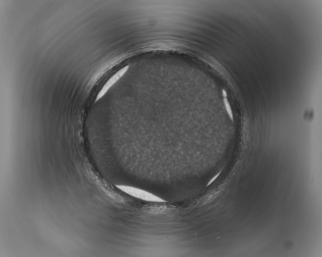 X0000111580826200908271033