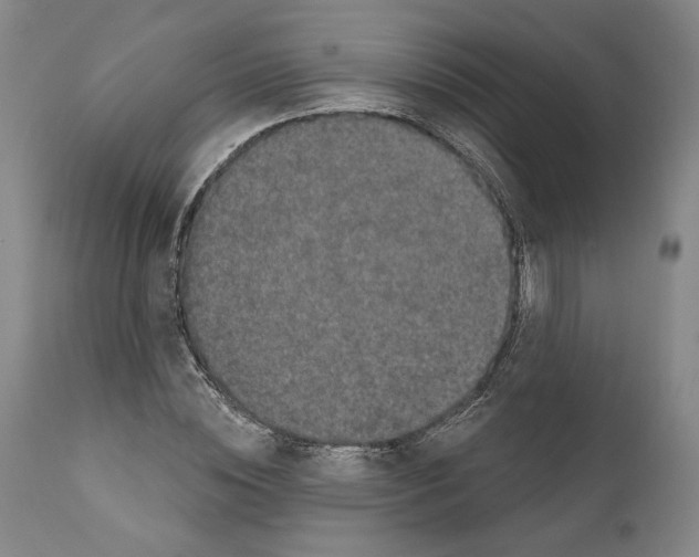 X0000111580828200908271033