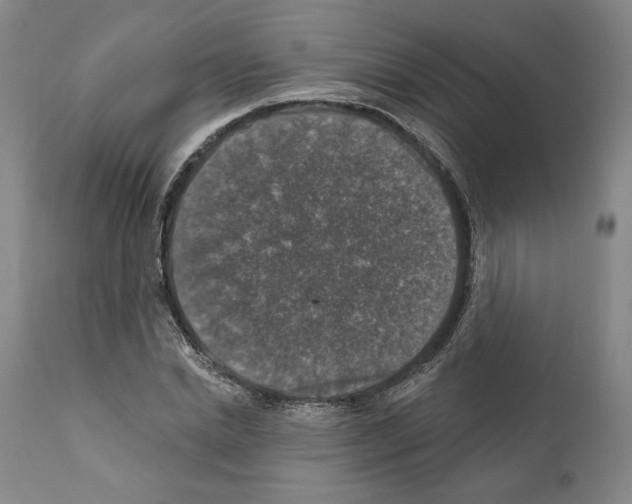 X0000111580830200908271033