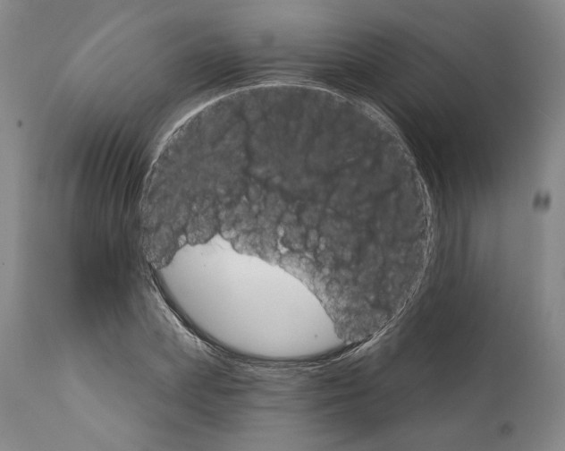 X0000111580831200908271033