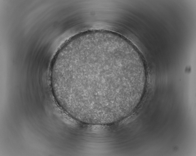 X0000111580832200908271033