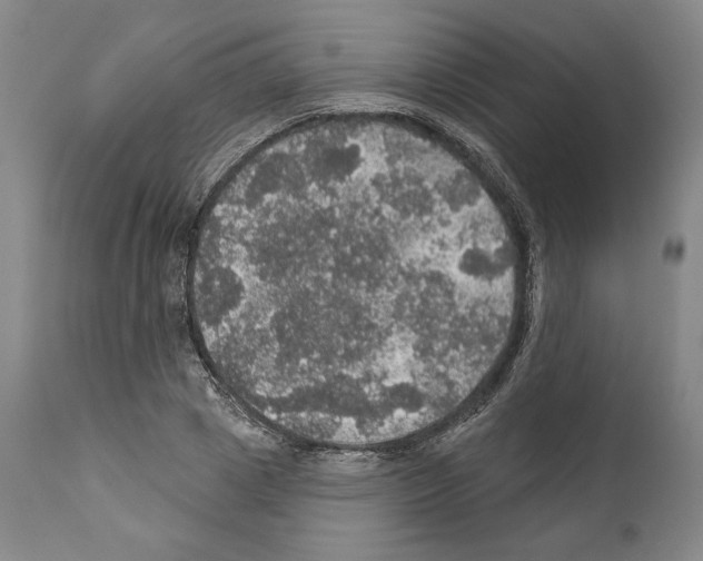 X0000111580833200908271033