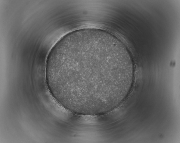 X0000111580836200908271034