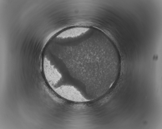 X0000111580838200908271034