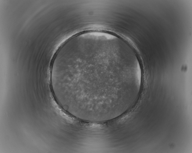 X0000111580839200908271034