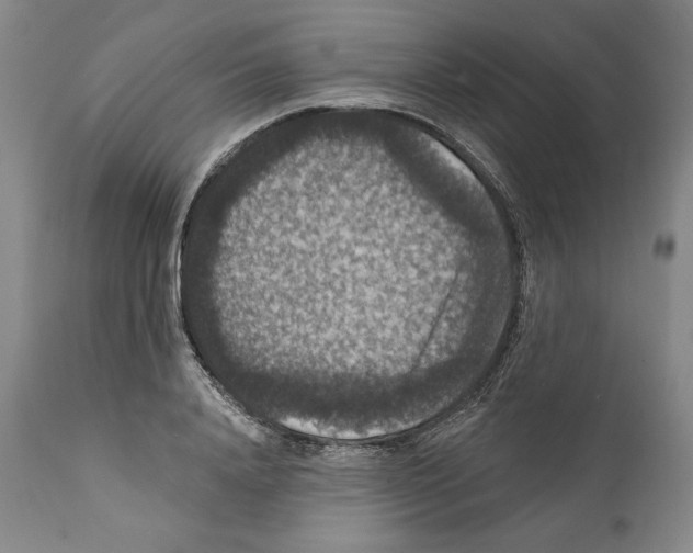 X0000111580840200908271034