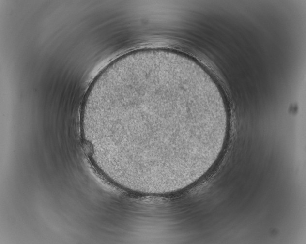 X0000111580842200908271034