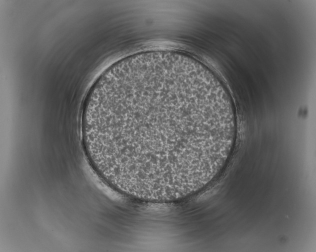 X0000111580843200908271034