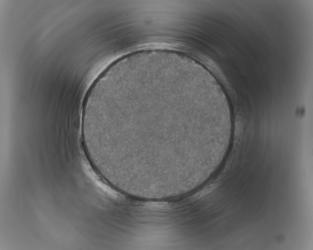 X0000111580844200908271034