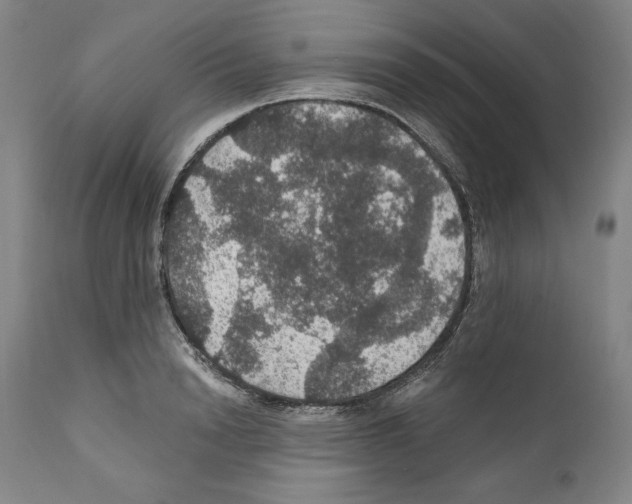 X0000111580846200908271034