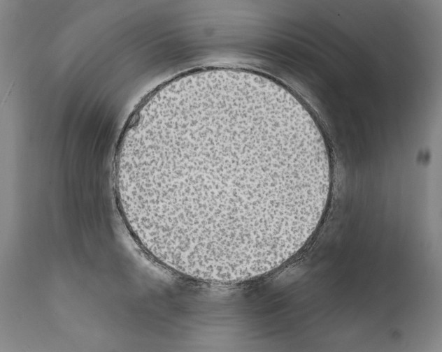 X0000111580848200908271034