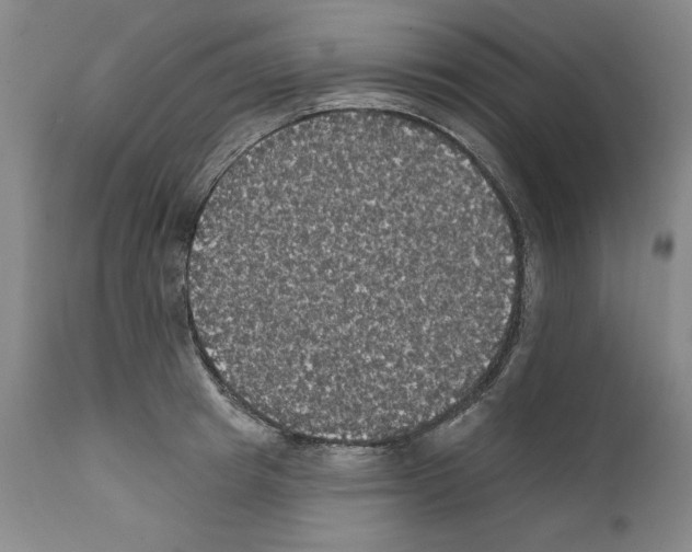 X0000111580849200908271034