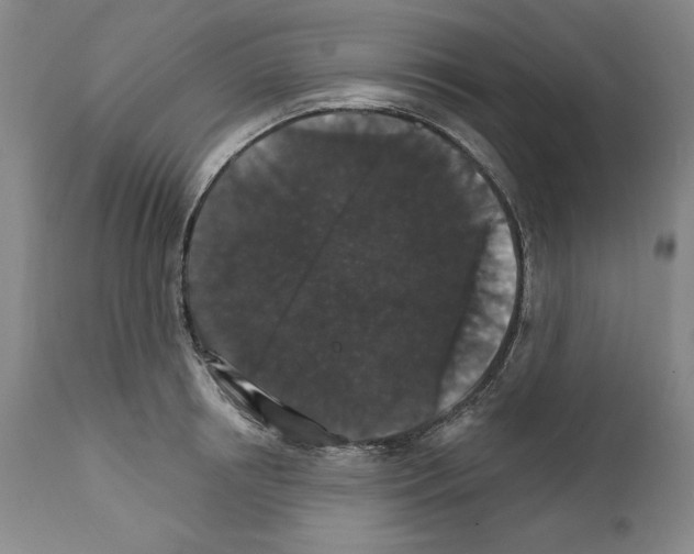 X0000111580850200908271034