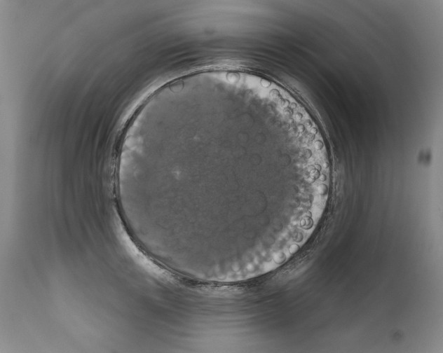 X0000111580851200908271034