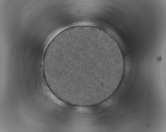 X0000111580852200908271034