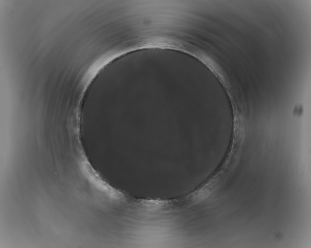 X0000111580854200908271034