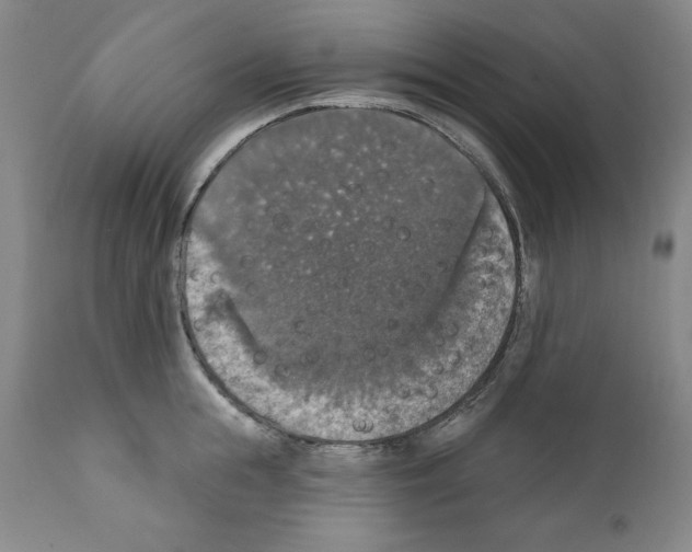 X0000111580855200908271034