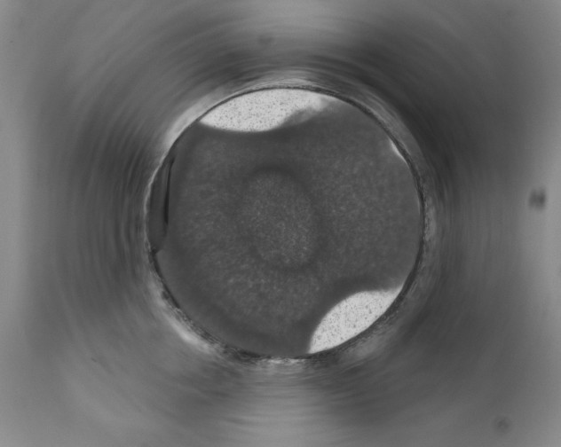 X0000111580858200908271034