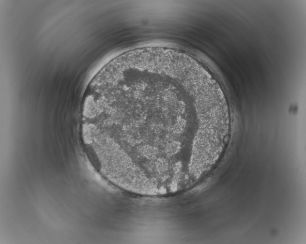 X0000111580860200908271034