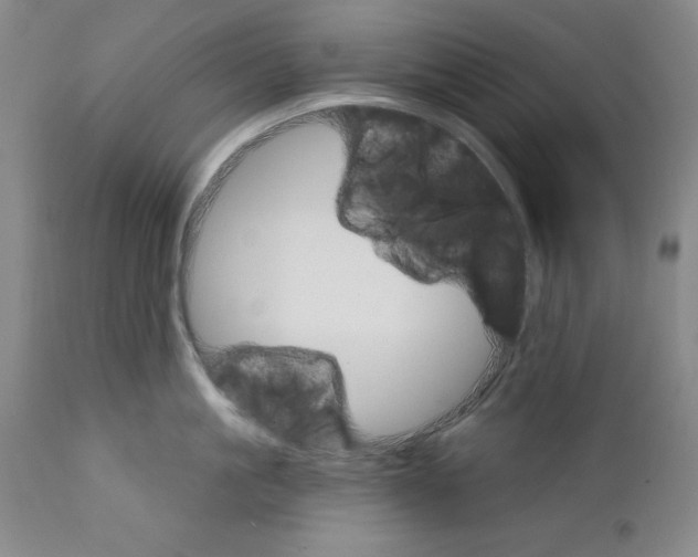 X0000111580861200908271034