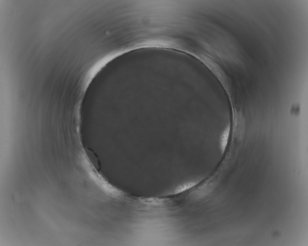 X0000111580862200908271034