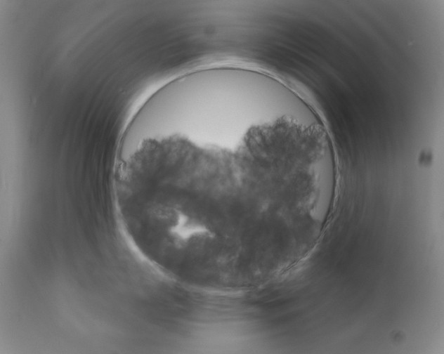 X0000111580863200908271034