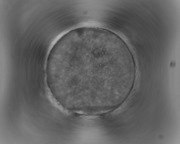 X0000111580864200908271034